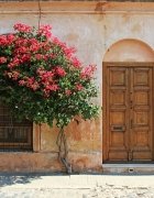 Confira a campanha para Paris