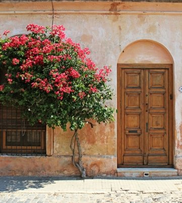 Como vender o destino Colônia