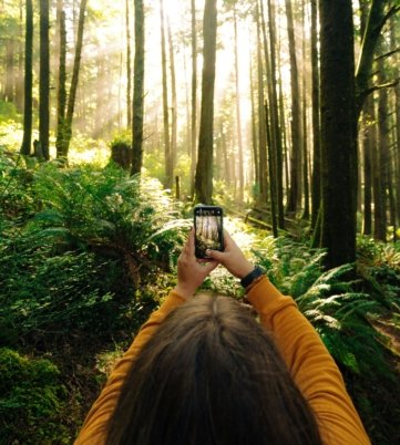 Confira os chips da Krafte