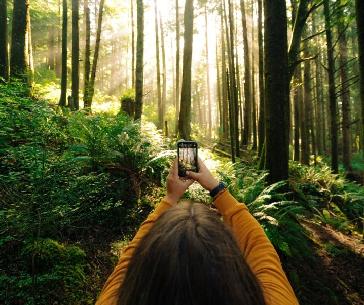 Confira os chips da Krafte