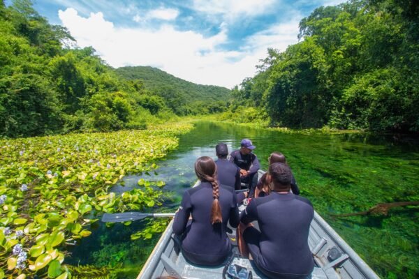 Confira mais sobre Bonito e Pantanal